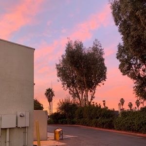 Meet your Posher, Bibi